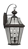 Livex Lighting 2361-07 Outdoor Wall Lantern with Clear Beveled Glass Shades, Bronze [並行輸入品]
