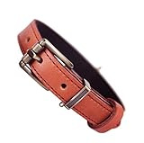 Beanspet 犬首輪 ベーシック ベルトタイプ 厚め本革 犬 首輪 レザー 定番 くびわ (XS, オレンジ)