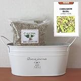 シナモンバジルの栽培セット/標準セット（液体肥料なし）プランターホワイト仕様