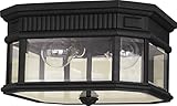 Murray Feiss OL5413BK, Cotswold Lane Ceiling Fixture, 2 Light, 120 Watts, Black [並行輸入品]