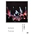 The open air live "High & High 2018"（DVD）