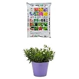 『自然応用科学 ACE(エース) 花と野菜の培養土 14L 』と『花市場直送便 花苗 アレナリアモンタナ 12入』のセット