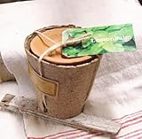 ジャルディナージュ レモンバーム