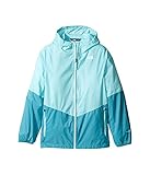 (ザノースフェイス) THE NORTH FACE キッズコート・ジャケット・アウター Flurry Wind Hoodie (Little Kids/Big Kids) Breeze Blue/Va