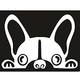 【 前の車から何か視線を感じる 】 車用ステッカー キュート フレンチブルドッグ 白 SD-DIZSUTE01-WH