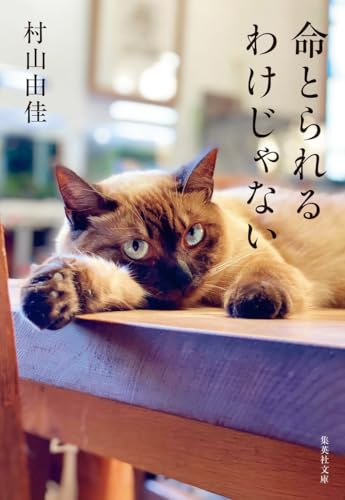 村山由佳:命とられるわけじゃない (集英社文庫)