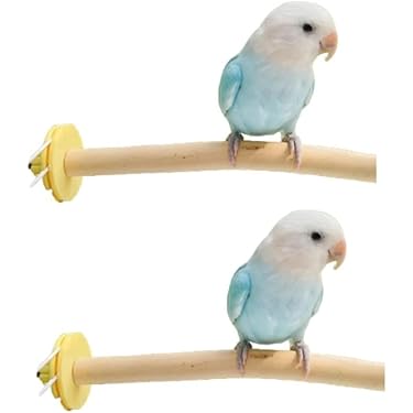 【小鳥〜中型鳥さん用】Vogel-Ruh ♫バードスタンド 小鳥〜中型鳥さん用】Vogel-Ruh ♫バードスタンド 小鳥〜中型鳥さん