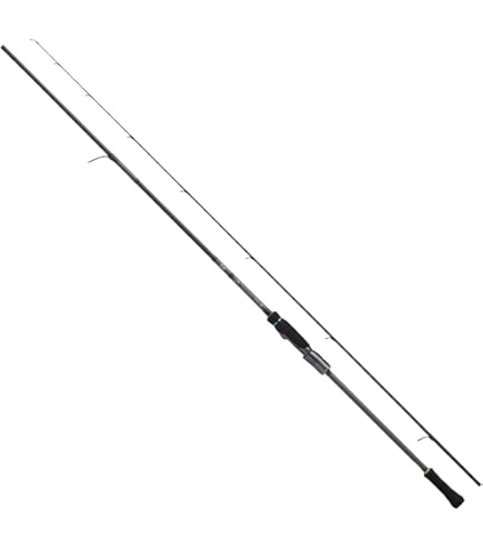 ジャンク品！DAIWA EMERALDAS STOIST AGS 84M Amazon | ダイワ(DAIWA) エギングロッド エメラルダス STOIST AGS 84M