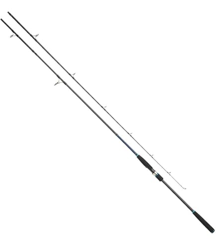 Amazon | RIZAS(ライザス) SHORE JIGGING 962MH ショアジギングロッド