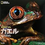カエル (ナショナルジオグラフィック 動物大せっきん)