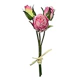 プリローズピック(3本) FXFPF0006MAV