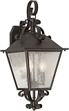 Forte Lighting 1107-03-32 Exterior Wall Light with Clear Seeded Glass Shades, Antique Bronze [並行輸入品]