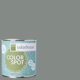 Inspired Eggshell Interior Colorspot Paint Sample, Stone .07, 8-oz [並行輸入品]