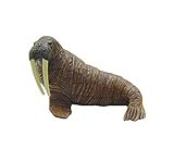 4D Stereo Toy Assembled Dinosaur Eggs Arctic Wildlife Animal Toy--Walrus