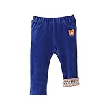 ミキハウス ホットビスケッツ (MIKIHOUSE HOT BISCUITS) パンツ 73-3209-787 90cm 青