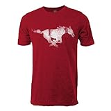 NCAA SMU Mustangsヴィンテージシアー半袖Tシャツ L レッド