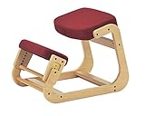 koeki 姿勢補助デスクチェア SLED(スレッド)チェアレッド色 SLED-1(RD)