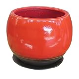 インテリアポット ドルチェ 20cm レッド ／植木鉢