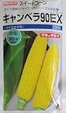 トウモロコシ　タキイ交配　キャンベラ９０ＥＸ　タキイ種苗のトウモロコシ品種です。グリーンデポ