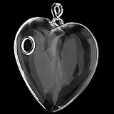 SunniMix 透明　ガラス　ハート型　花瓶　吊り下げ　水栽培　植物栽培　花器　部屋　庭　目を引く　装飾　友人　恋人　贈り物　