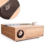 LOWYA （ロウヤ） テーブル ローテーブル 国産 【 猫 と暮らそう】 目が合う天窓 強化ガラス 脱臭シート 引出し リアル木目 センターテーブル 正方形 80×80cm