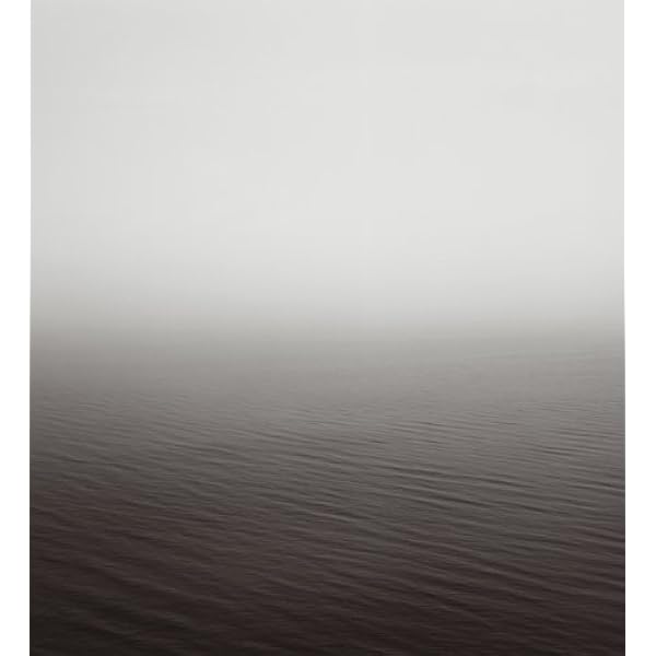 Amazon | Hiroshi Sugimoto: Seascapes | Sugimoto, Hiroshi | Plants