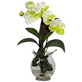 Nearly Natural 1276-WH Mini Vanda with Fluted Vase Silk Flower Arrangement, White by Nearly Natural 