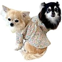 41bHDqfi4aL._AC_UL210_SR210,