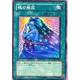 遊戯王OCG 魂の解放 ノーマル sd14-jp021