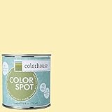 Inspired Eggshell Interior Colorspot Paint Sample, Aspire .01, 8-oz [並行輸入品]