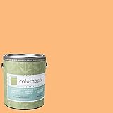 Inspired Eggshell Interior Paint, Sprout .02, Gallon [並行輸入品]