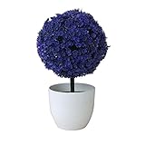 偽の花偽の植物人工の多肉植物人工植物植物の偽の緑の草