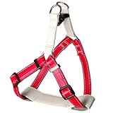 Beanspet 犬用レザーハーネス 中型犬 大型犬 胸当てパッド付き 本革風 マイクロファイバーレザー 4サイズ 4カラー 調整可能 おしゃれ 散歩用 (レッド, XS)