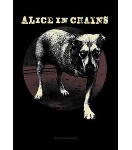 Amazon.co.jp: LPGI Rage Against The Machine ファブリックポスター