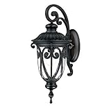 Acclaim 2112BK Naples Collection 1-Light Wall Mount Outdoor Light Fixture, Matte Black [並行輸入品]