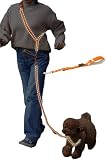 [LaLUCA GOODS] 犬 ショルダーリード 反射ライン 小型犬 中型犬 大型犬 アドバンスモア 02モデル ハンズフリー オレンジ ショルダーパーツ Mサイズ