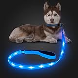 Candofly 反射型 LED 犬用リード - 暗闇で光る犬 ライト USB 充電式照明付き犬用ロープ、4 フィートの耐久性のある耐水性点滅犬リード、ペットの犬の夜の散歩用 (青)