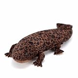 lilizzhoumax 古生物シリーズ、オオサンショウウオのぬいぐるみ、オオサンショウウオのぬいぐるみ、両生類のソフト、男の子と女の子用のぬいぐるみ、家の装飾、長さ 50 CM