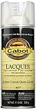 CABOT 8057 Cab Lacquer Semi Gloss Spray [並行輸入品]