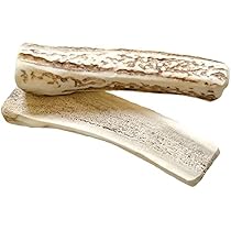 Amazon | プレシカ 鹿の角 半割り2本セット(LLサイズ大型犬用） 犬