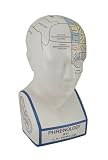 Large Phrenology Head with ColoredマップCeramic Coin Bank