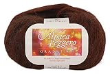 ハマナカ(HAMANAKA) RichMore リッチモア 秋冬毛糸 『Alpaca Leggero (アルパカレジェーロ) グラデーション 101番色』