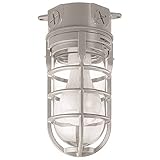 Metal Cage Ceiling Mount Light [並行輸入品]