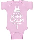 Awkwardスタイル赤ちゃん私はできないKeep Calm I ' m Only 1 One Pieceベビー半袖ボディスーツトップス最初誕生日 カラー: グレー
