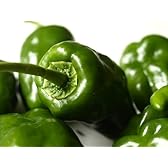 三浦半島産　ピーマン