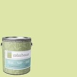 Inspired Eggshell Interior Paint, Leaf .07, Gallon [並行輸入品]