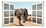 24" Window Scape Instant View T-Rex TREX dinosaur 1 Wall Decal Graphic Sticker Mural Home Kids Game 