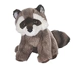 Ranger Raccoon [並行輸入品]