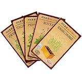 【ノーブランド品】人気BEST5！ハーブの種5品種セット*