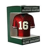 Football Fanatics College Football Jersey Ornaments S 60602